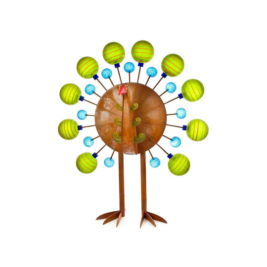 Pavo