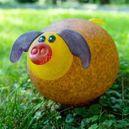 Pig