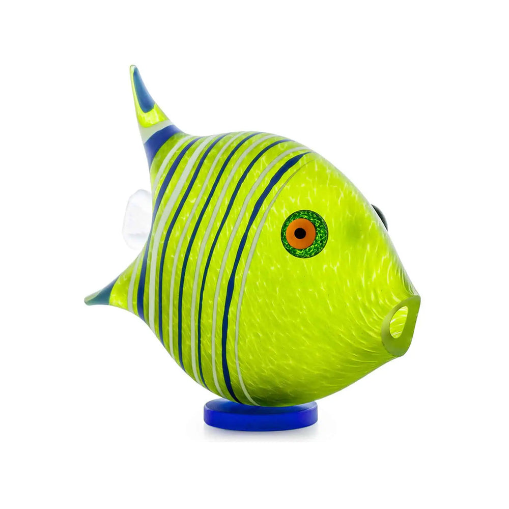 Angelfish Large