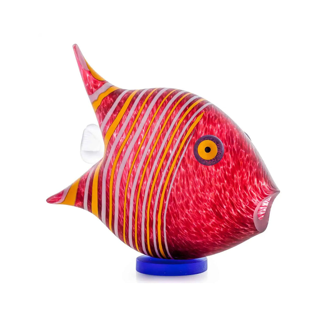 Angelfish Large