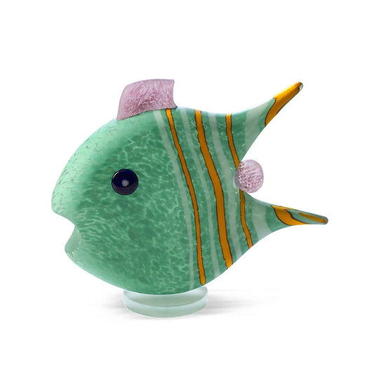 Angelfish Medium