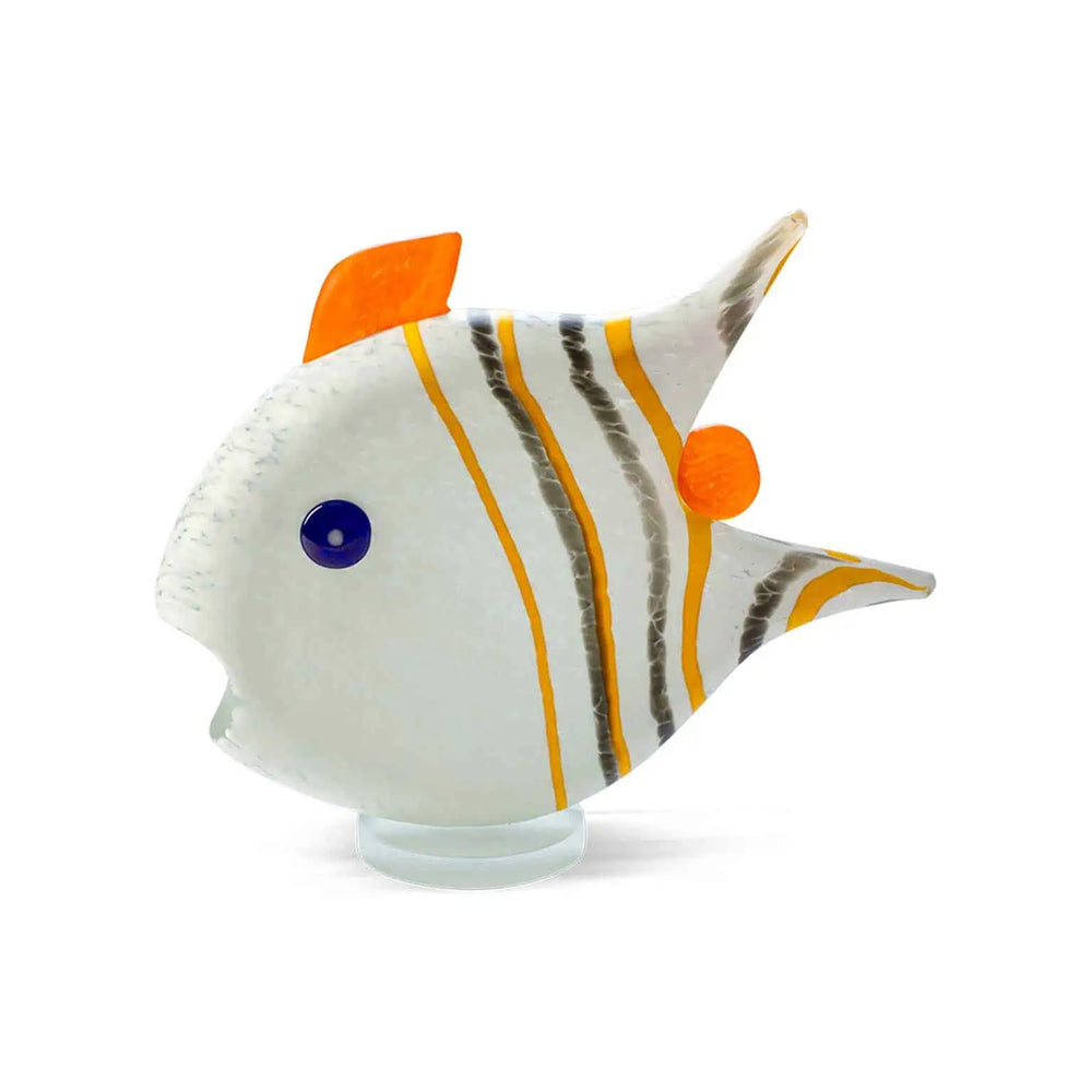 Angelfish Medium