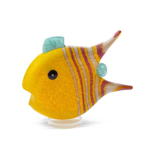 Angelfish Medium