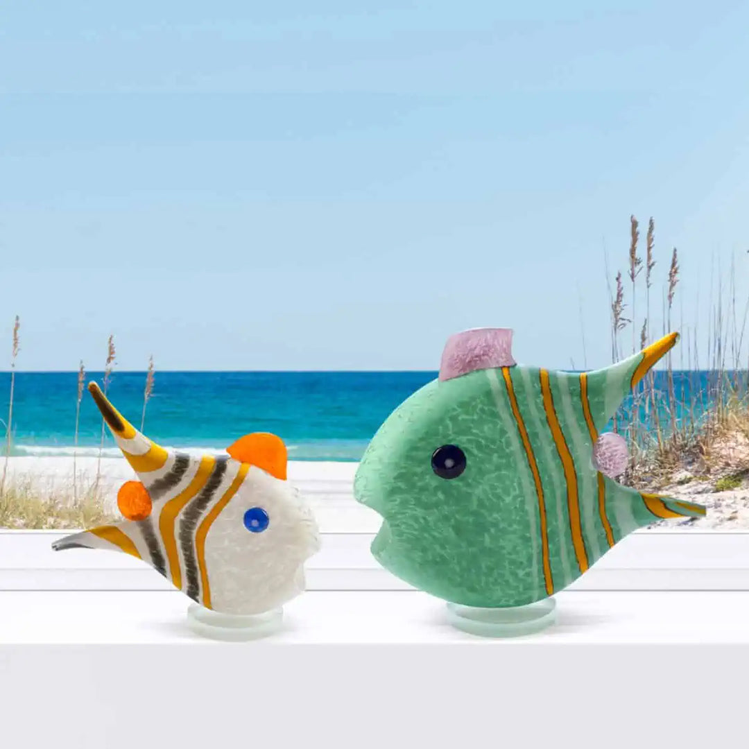 Angelfish Small