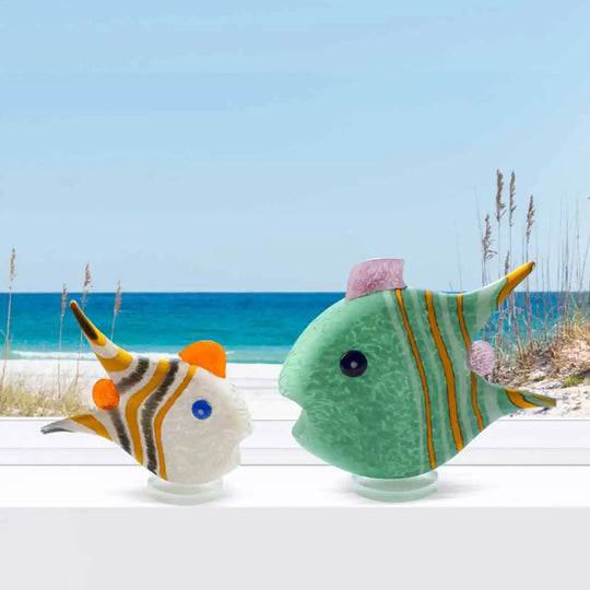 Angelfish Small