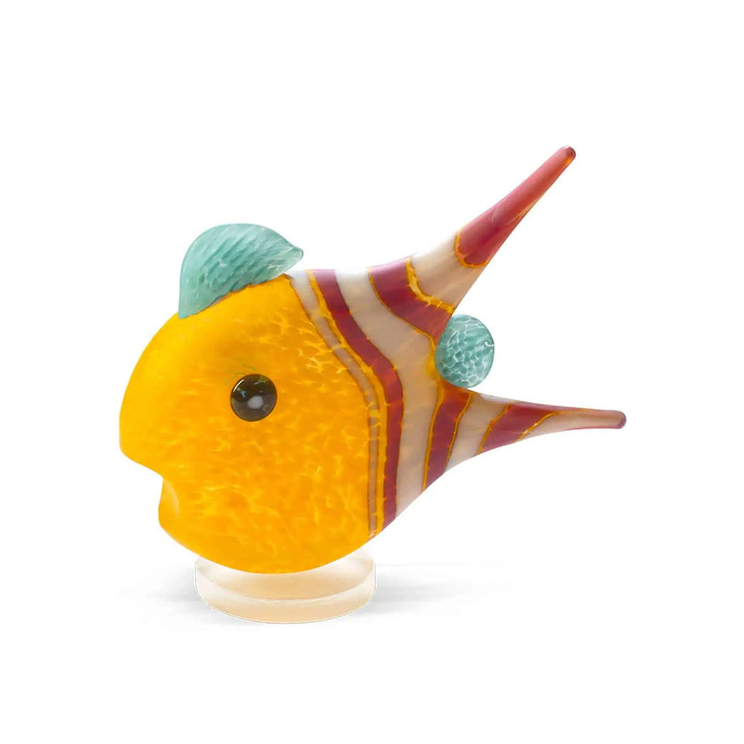 Angelfish Small