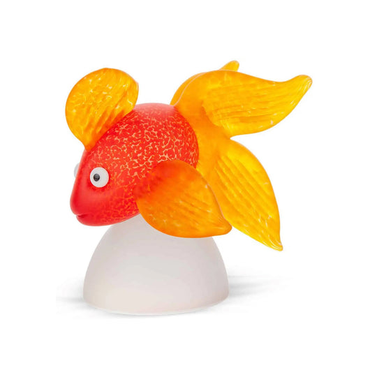Oranda