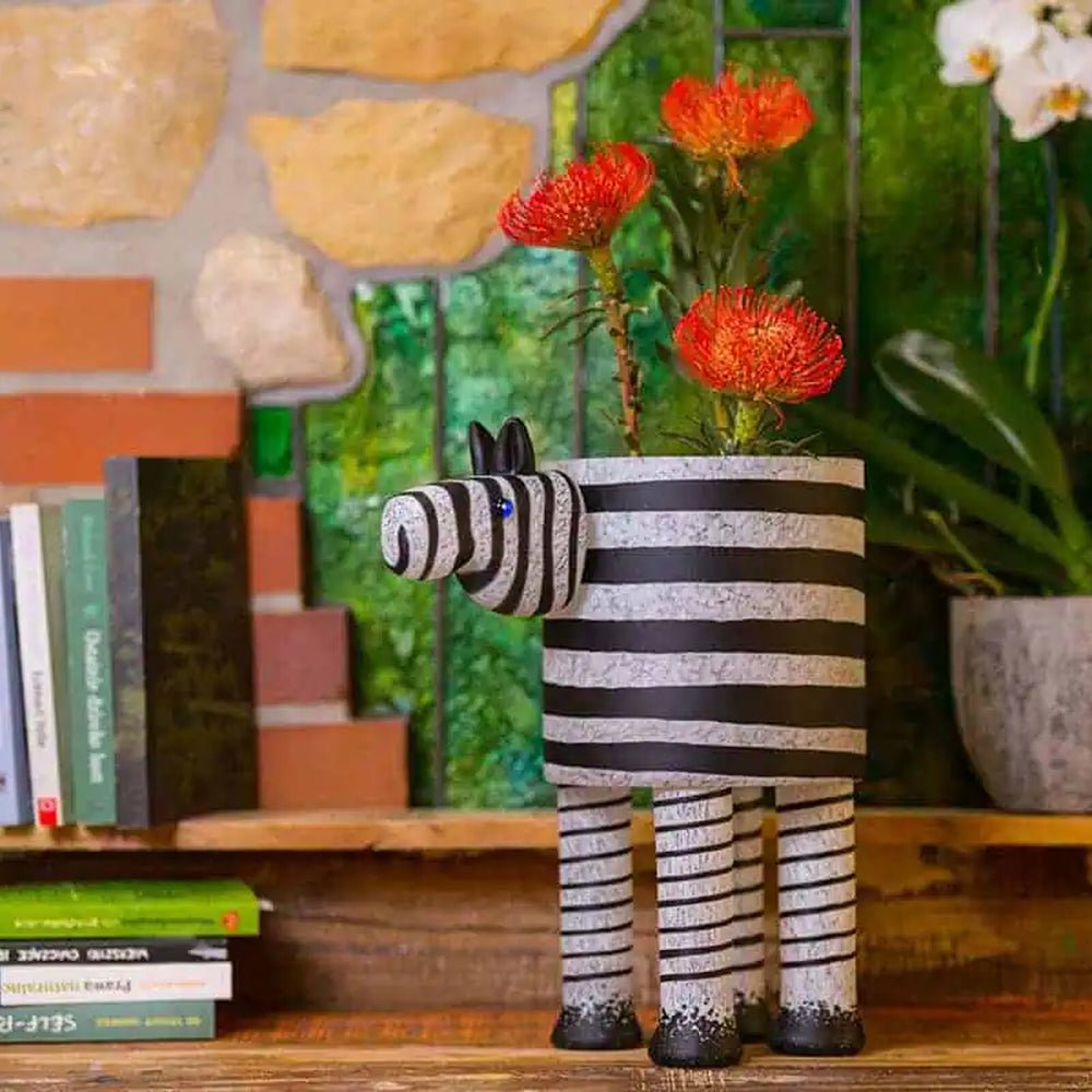 Zebra